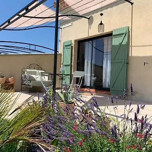L'oléastre En Luberon Grambois